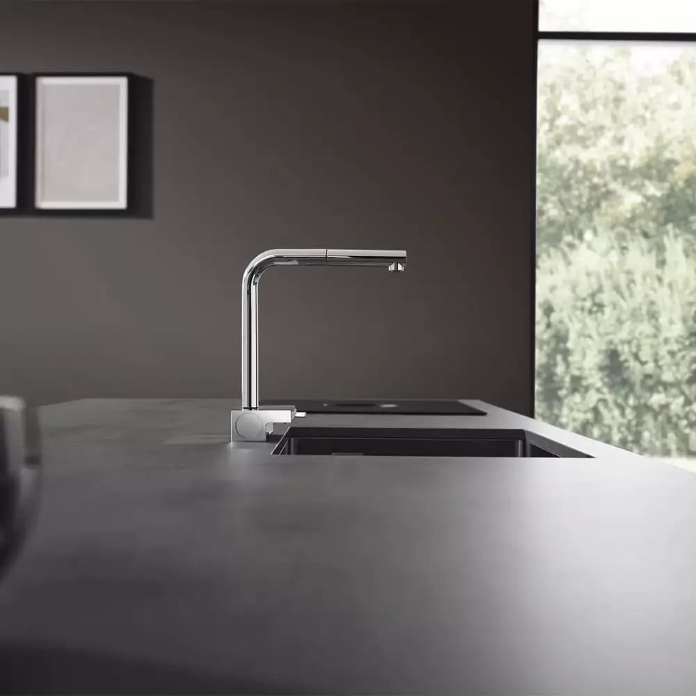 Змішувач для кухні HANSGROHE FRANCO 73830000 з висувним виливом, sBox, хром